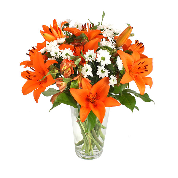 serenataflowers