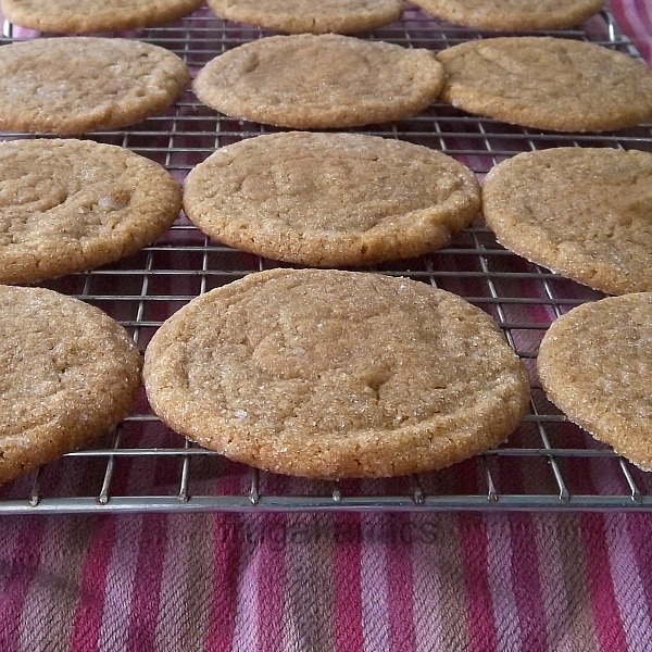 spice-cookies-by-frugal-antics
