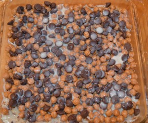 Magic Bars Topping