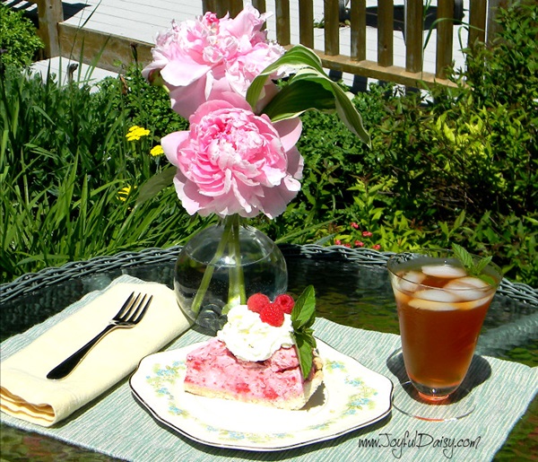 Frozen Raspberry Pie 12