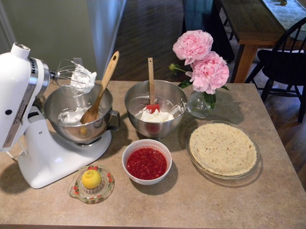 Frozen Raspberry Pie 7