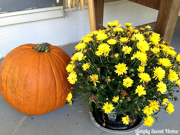 Fall Decor 6