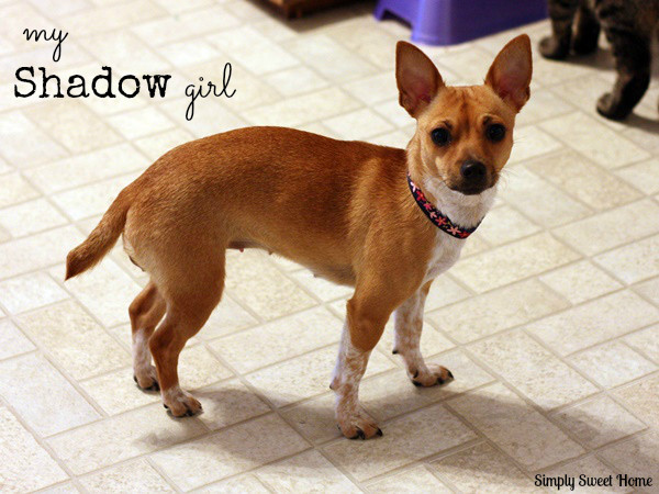 Shadow Girl