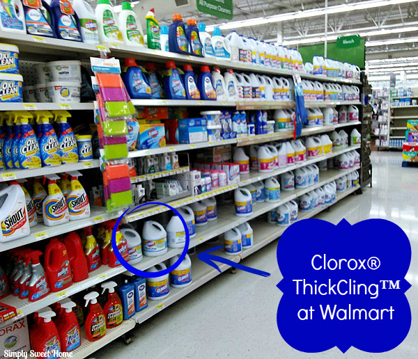 Clorox in Store