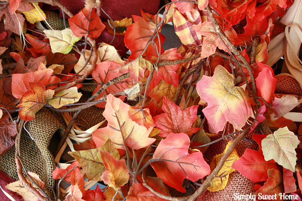 Leaves