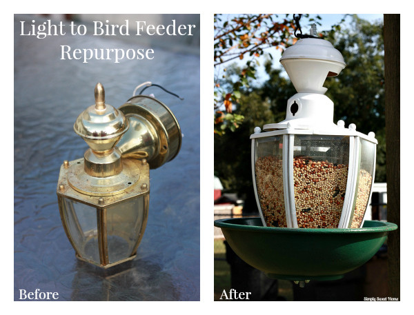From Light to Bird Feeder