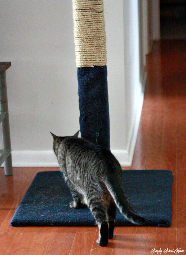 Cat Scratcher