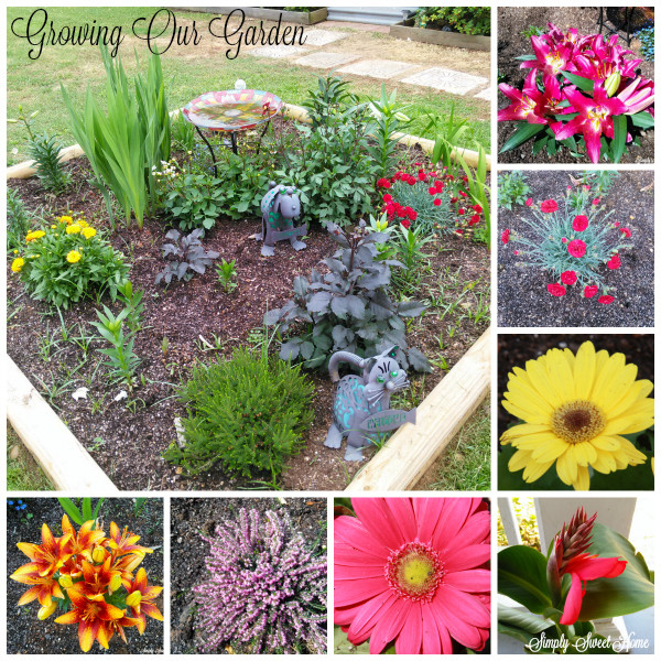 Growing Our Garden