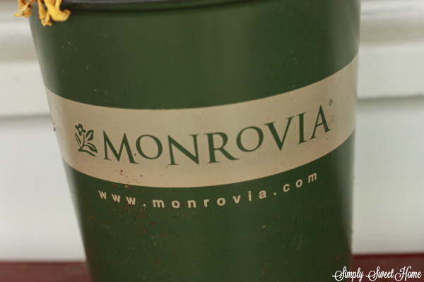 Monrovia