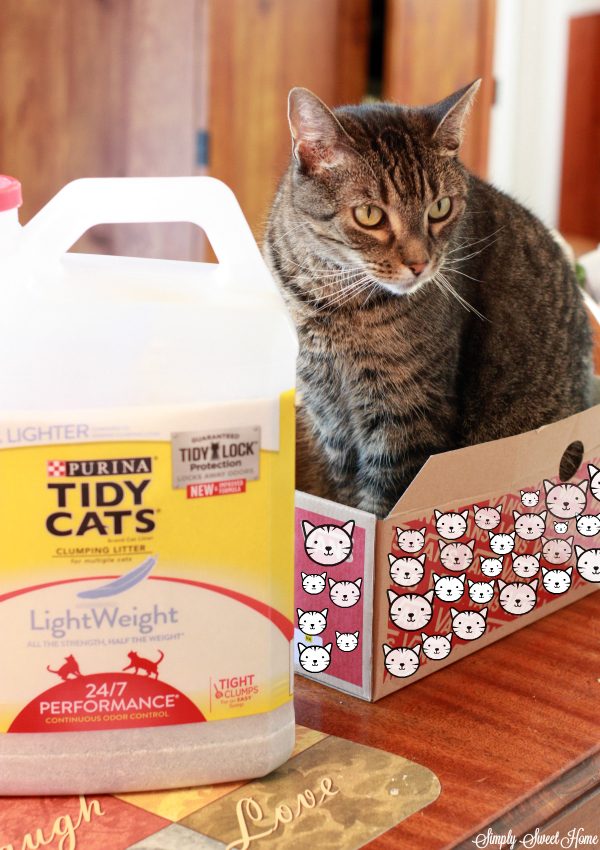 Rebel Cat with Litter