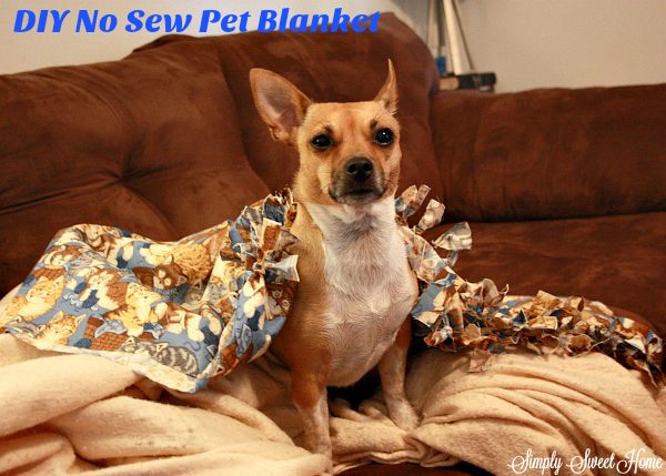 diy-no-sew-pet-blanket