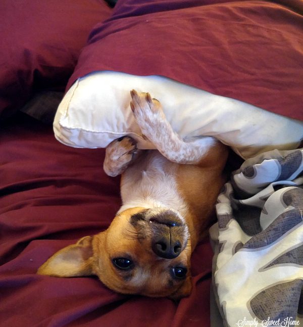 Shadow Under Covers