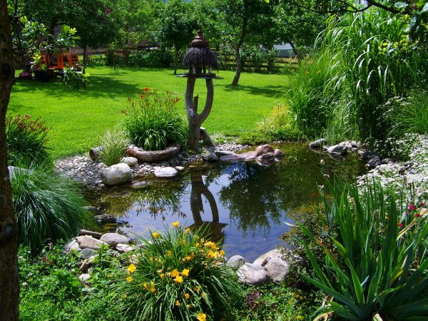 Pond