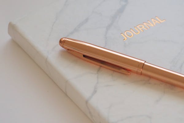journal pen
